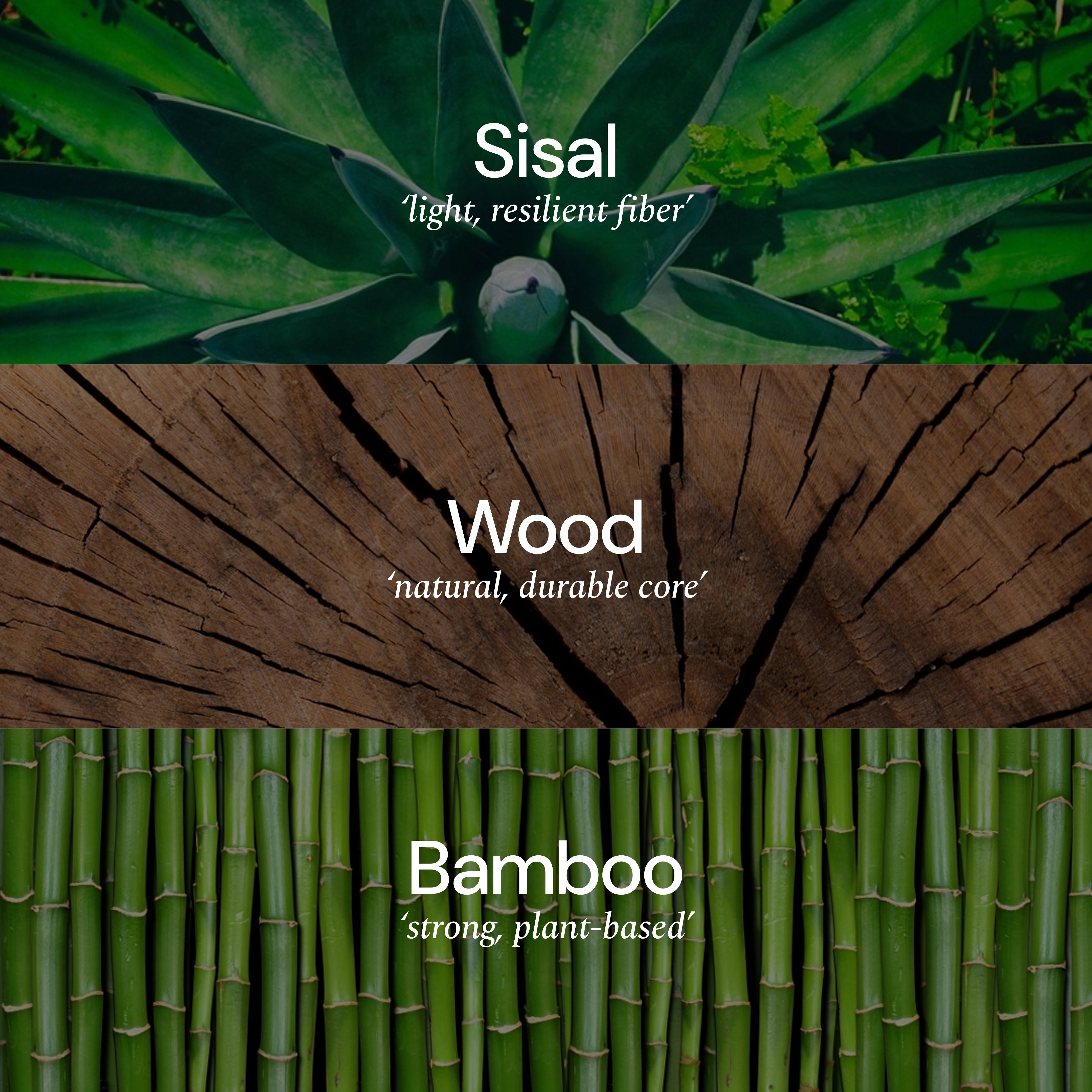 4-Piece Essentials Set
