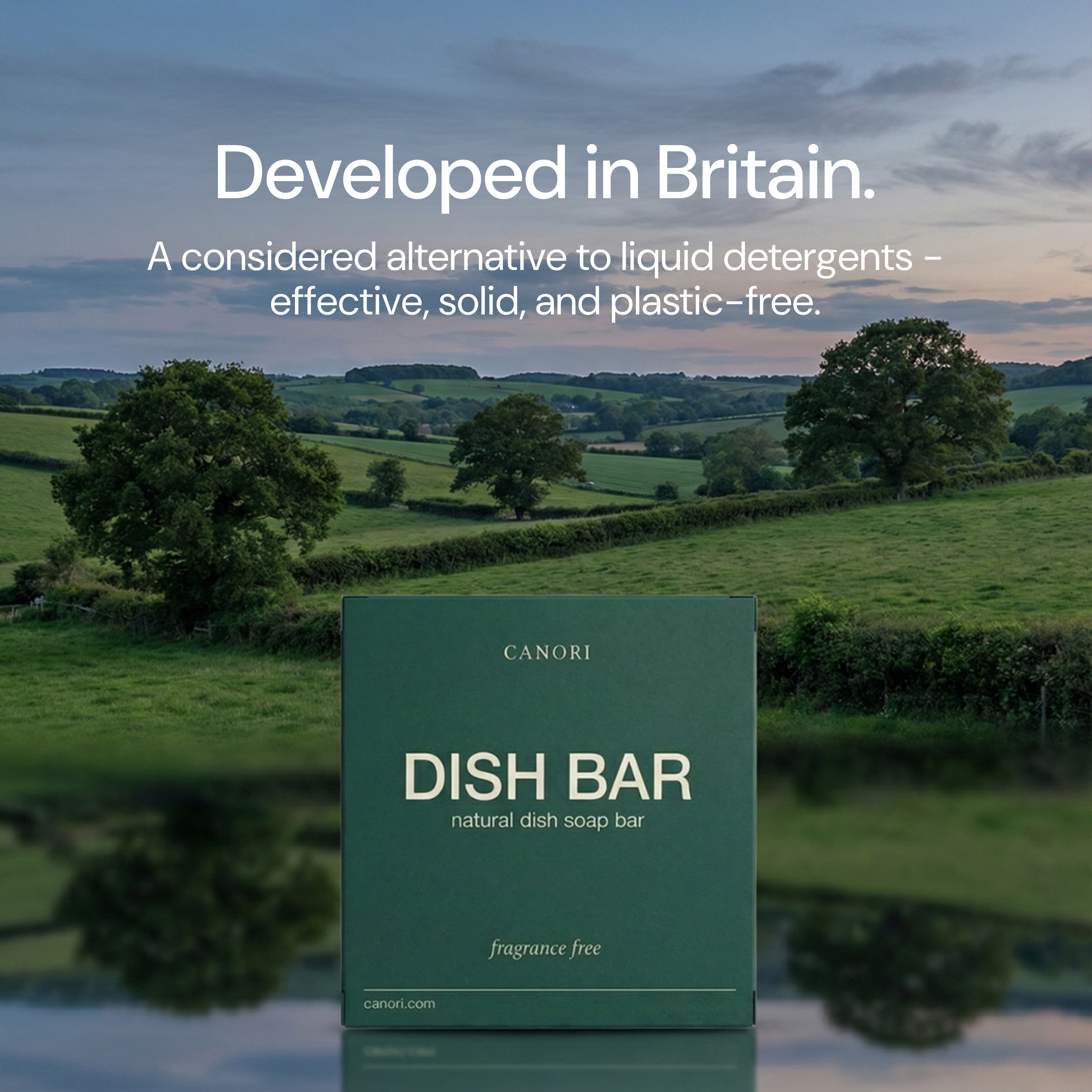 Dish Bar