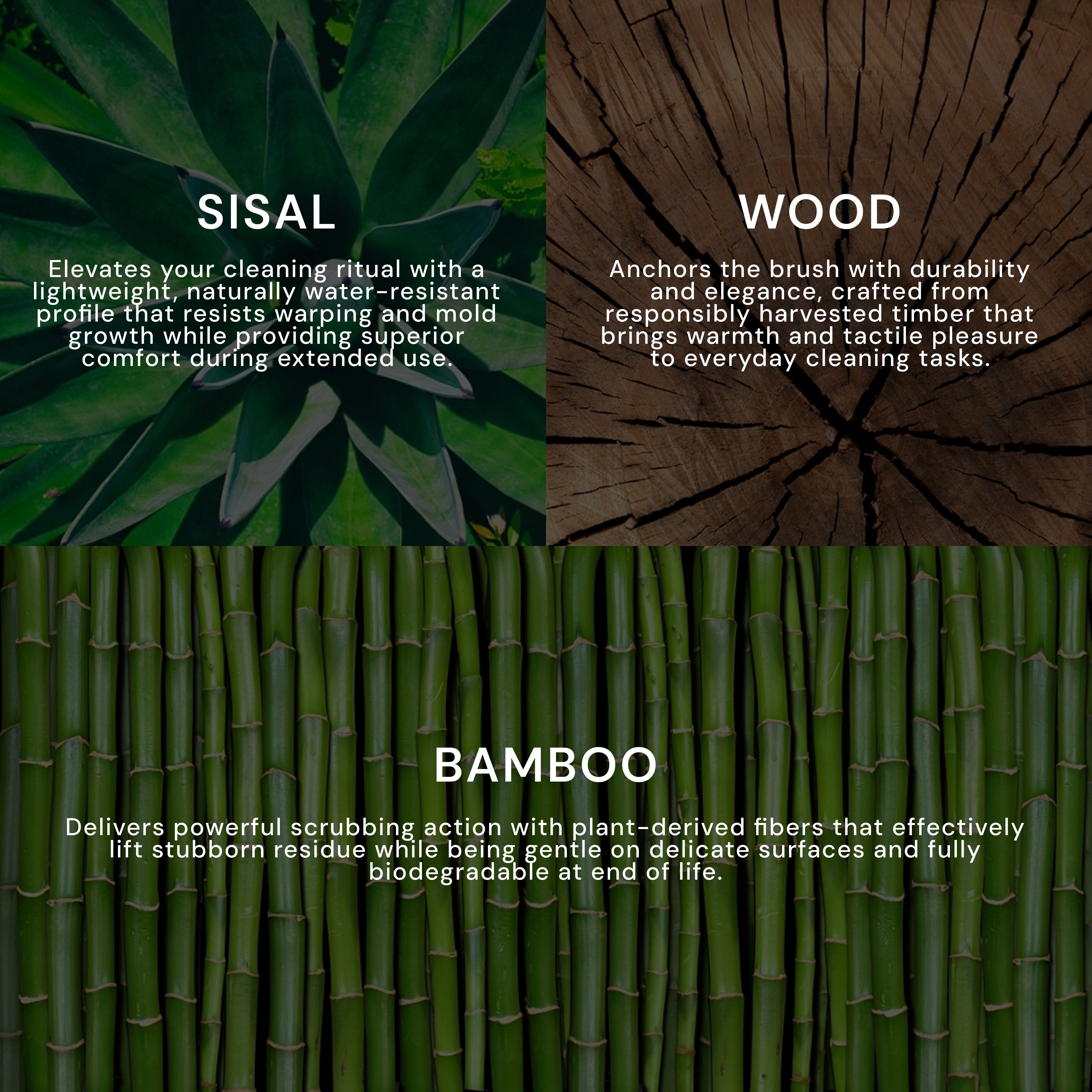 Bamboo Brush with Replaceable Bristles